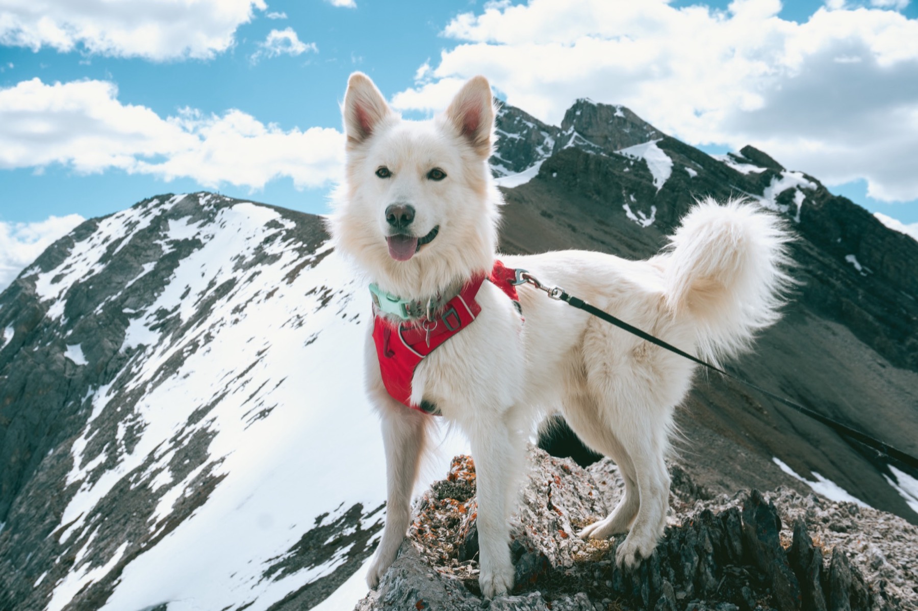Adventure and hike photo 16